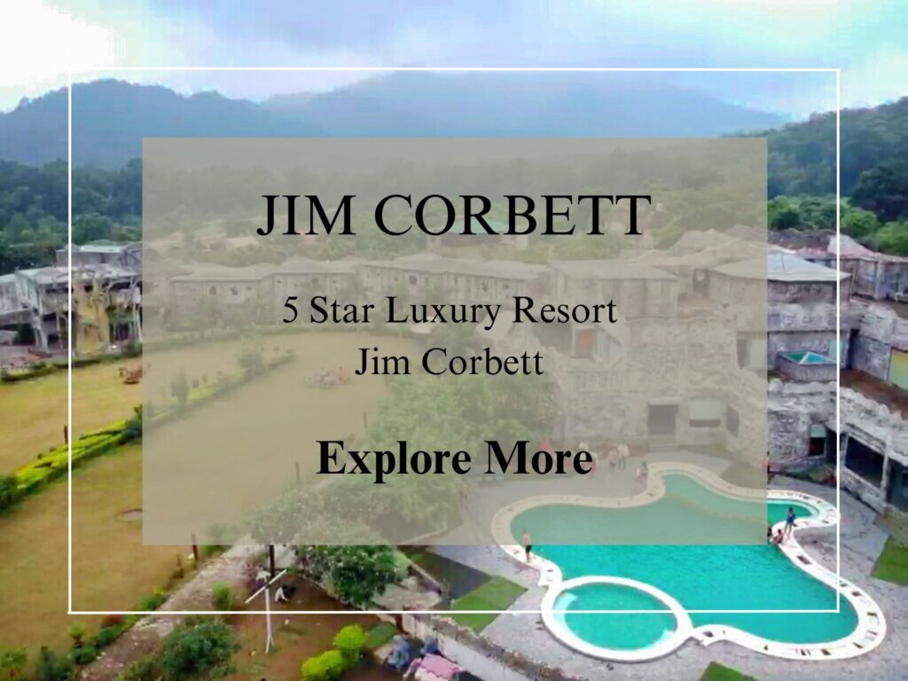 5 Star Resort In Jim Corbett