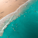 Book Colva Beach Property For…